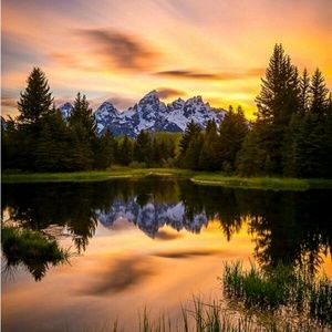 Meet your Posher, Ari